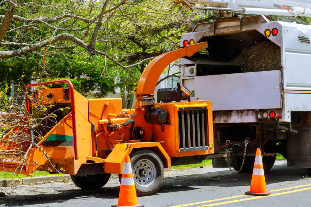 Best Tree Mulching  in Suncrest, WA